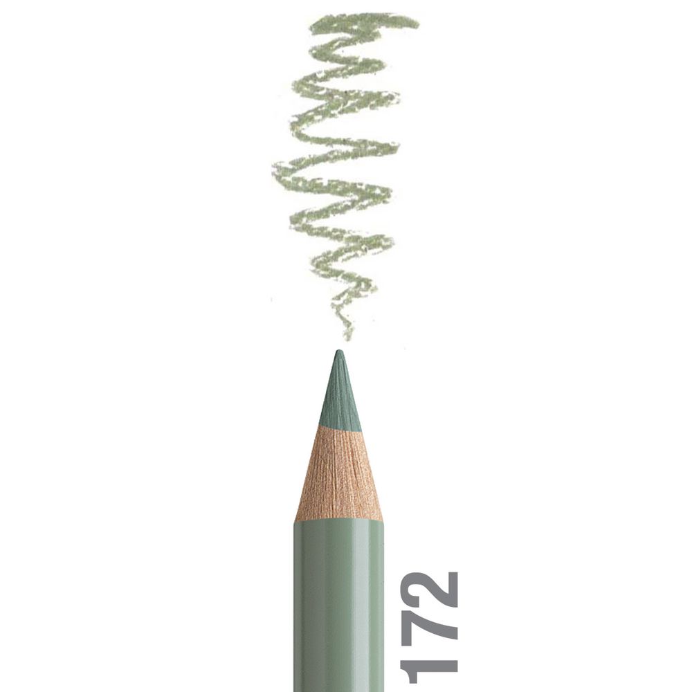 مداد رنگی فابرکاستل پلی کروم تکی کد 172 - Earth Green