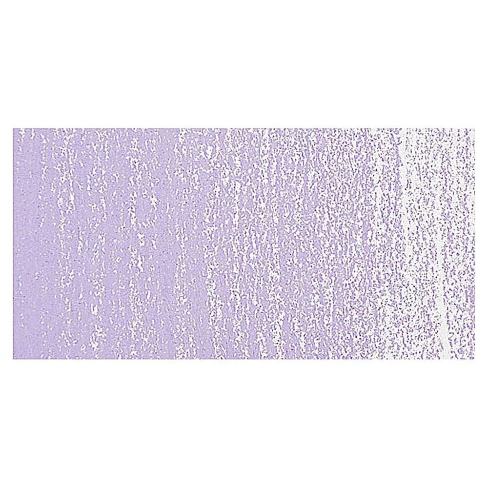 پاستل کچی رامبراند تکی کد Blue Violet - 548.8