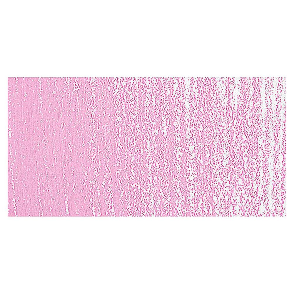 پاستل کچی رامبراند تکی کد Permanent Rose - 397.9