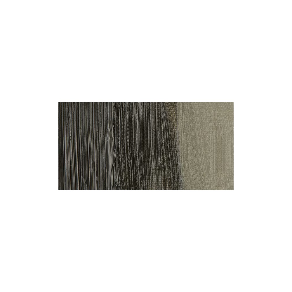 رنگ روغن وینزور آرتیست 37 میل تکی کد 558 - Raw Umber (Green Shade)