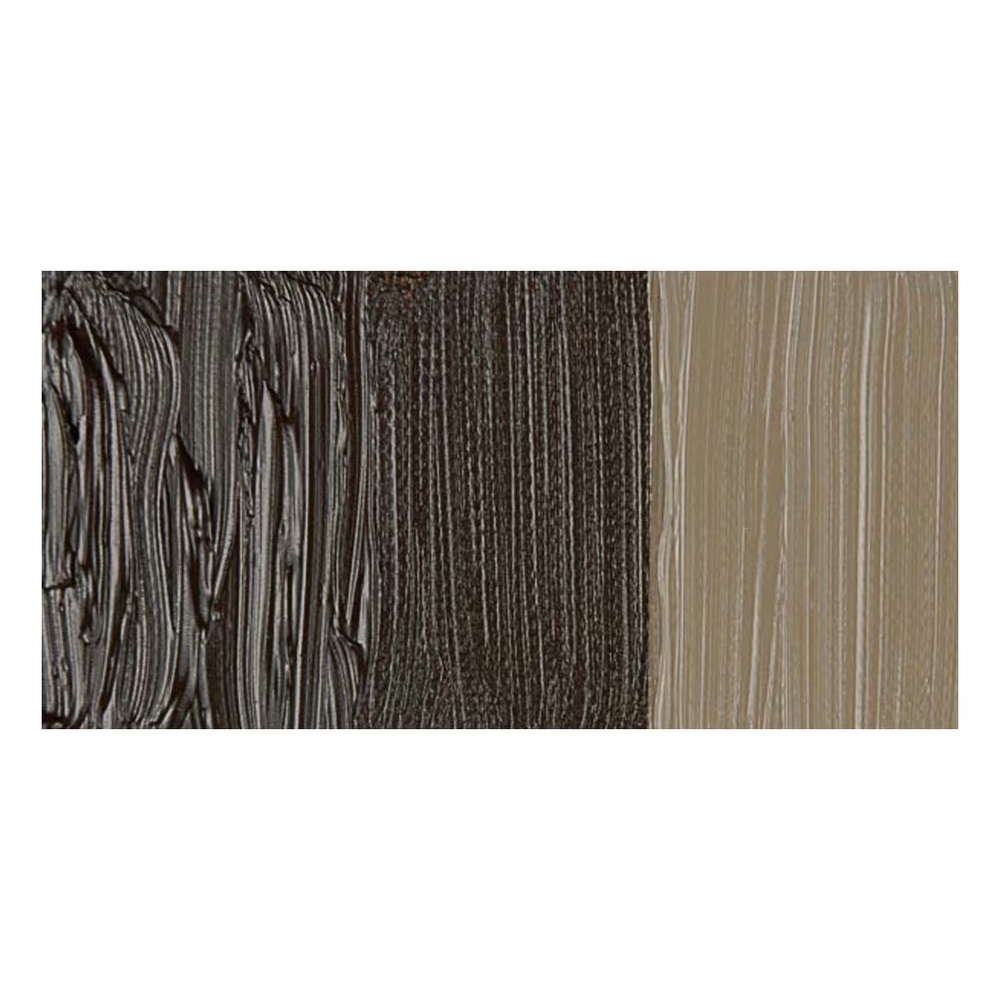 رنگ روغن ونگوگ 40 میل تکی کد Raw Umber - 408