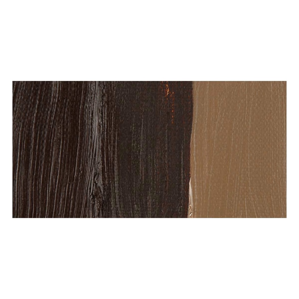 رنگ روغن ونگوگ 40 میل تکی کد Burnt Umber - 409