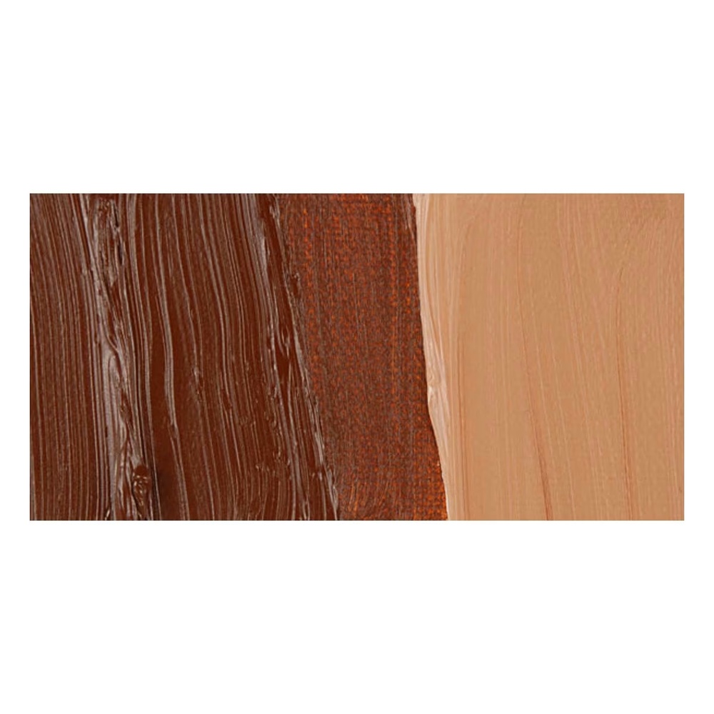 رنگ روغن ونگوگ 40 میل تکی کد Burnt Sienna - 411