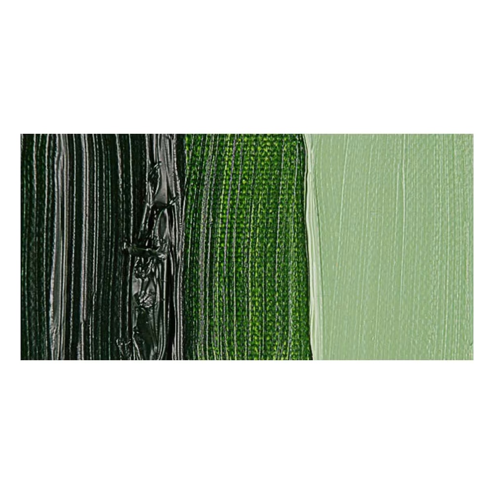 رنگ روغن ونگوگ 40 میل تکی کد Sap Green - 623