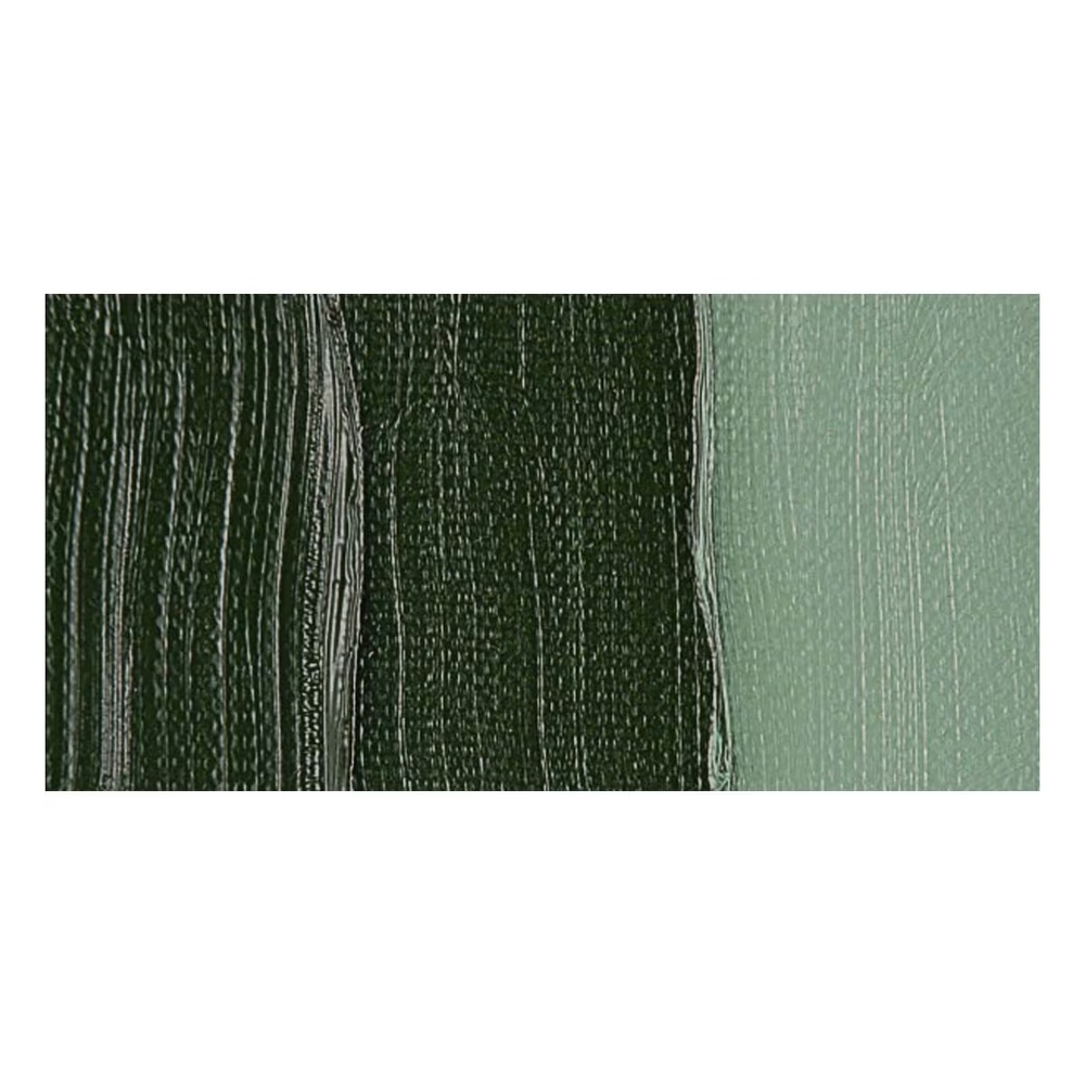 رنگ روغن ونگوگ 40 میل تکی کد Terre Verde - 629