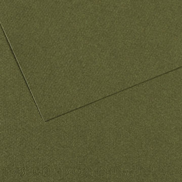 مقوای کانسون میتان ۱۶۰ گرم رنگ Ivy
