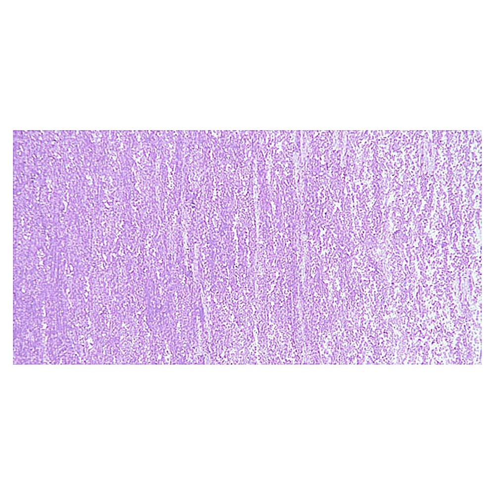 پاستل روغنی ونگوگ تکی کد Blue Violet - 548.7