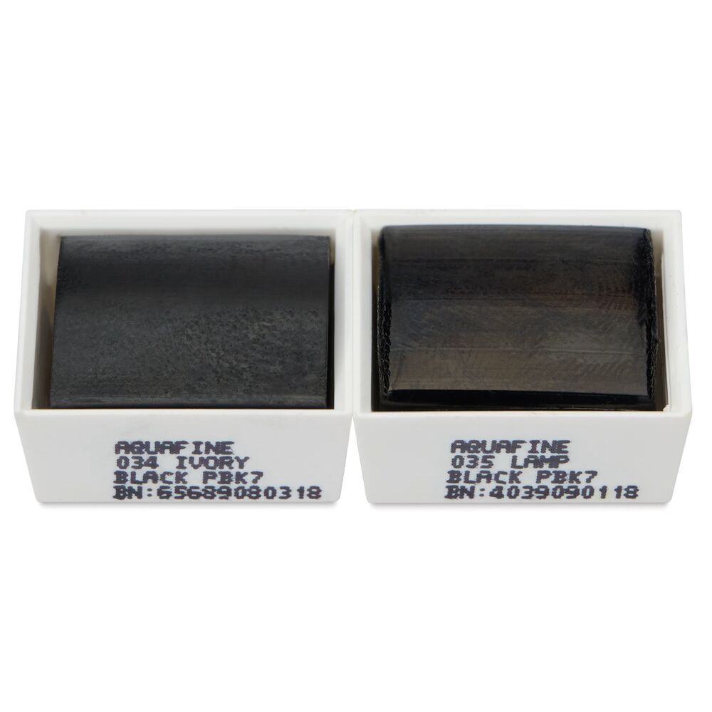 آبرنگ دالررونی بسته 2 تایی Ivory Black & Lamp Black