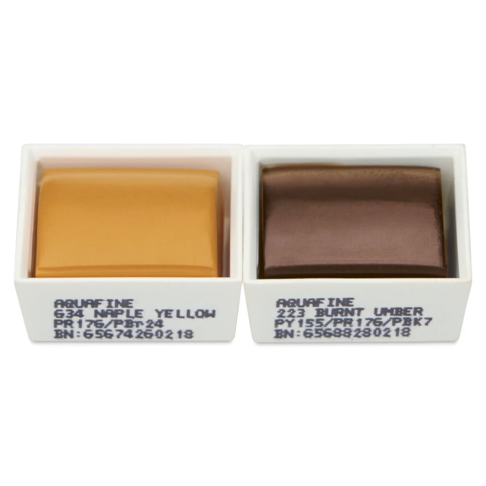 آبرنگ دالررونی بسته 2 تایی Naples Yellow & Burnt Umber
