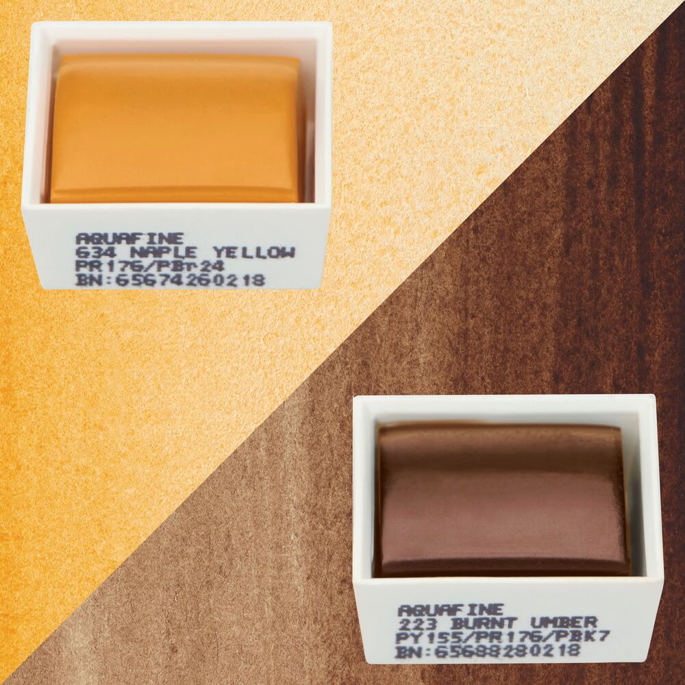 آبرنگ دالررونی بسته 2 تایی Naples Yellow & Burnt Umber