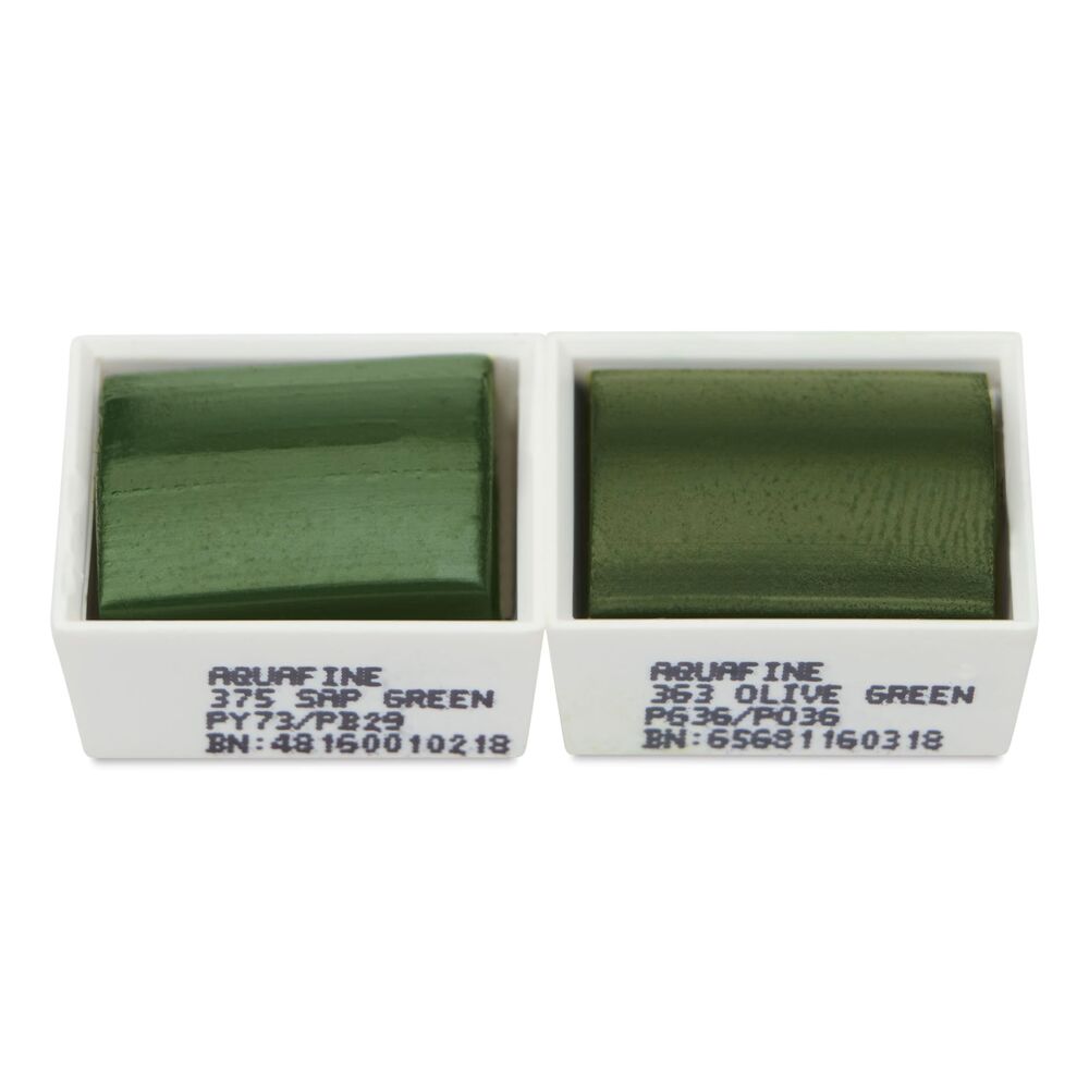آبرنگ دالررونی بسته 2 تایی Sap Green & Olive Green