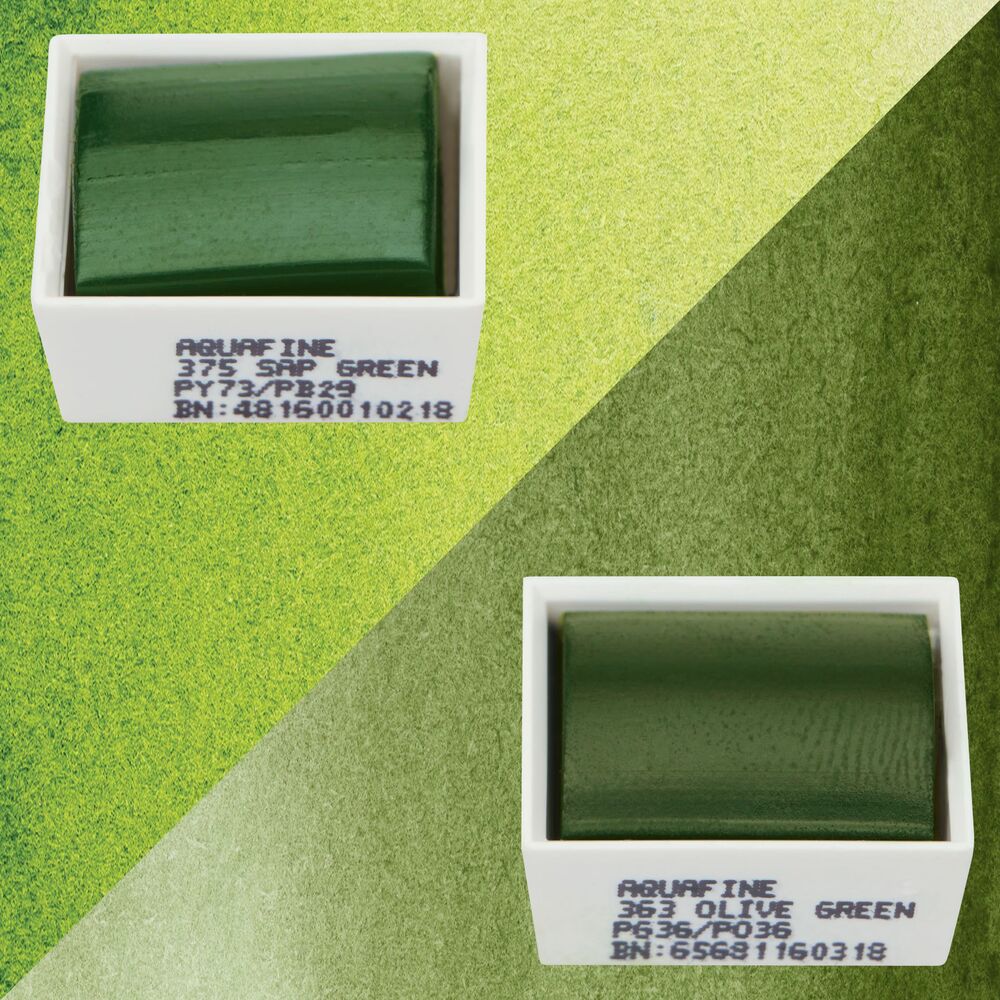 آبرنگ دالررونی بسته 2 تایی Sap Green & Olive Green