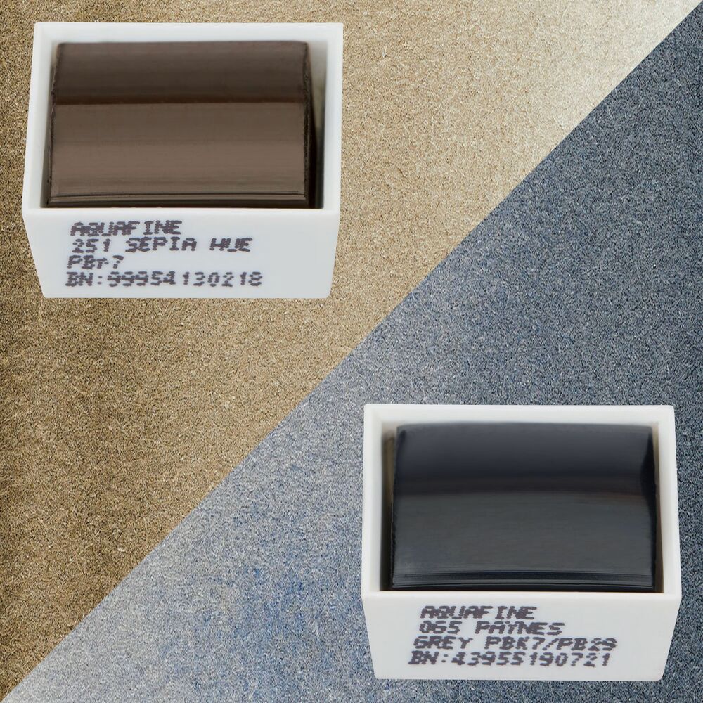 آبرنگ دالررونی بسته 2 تایی Sepia Hue & Payne's Grey