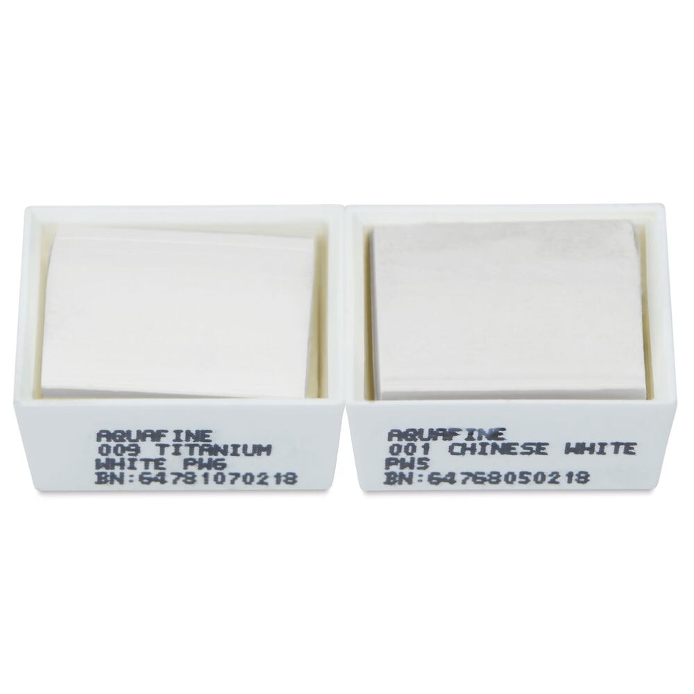 آبرنگ دالررونی بسته 2 تایی Titanium White & Chinese White