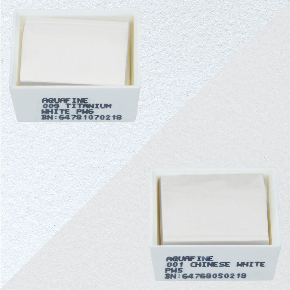 آبرنگ دالررونی بسته 2 تایی Titanium White & Chinese White